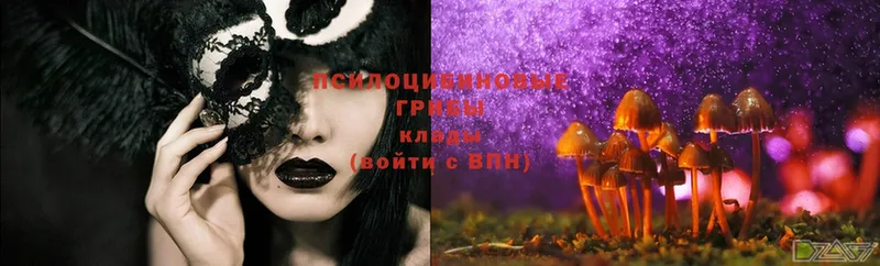 OMG зеркало  площадка как зайти  Галлюциногенные грибы Psilocybe  Истра 